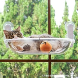 image-Cat Hammock Space Capsule Pet Bed - Glass Hanging Transparent