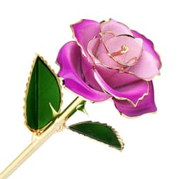 image-24K Gold-Plated Roses Lacquer Flowers