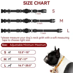 image-Dog Collar for Apple AirTag - Pet
