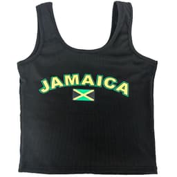 image-European American Y2K Blue Crop Top - Slim Fit