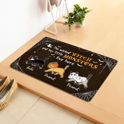 image-Dilla Cartoon Cat Floor Mat - Dark Coffee 40x65cm