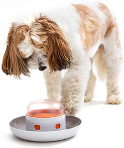 image-Dog Slow Feeder - Automatic Pet Food Dispenser