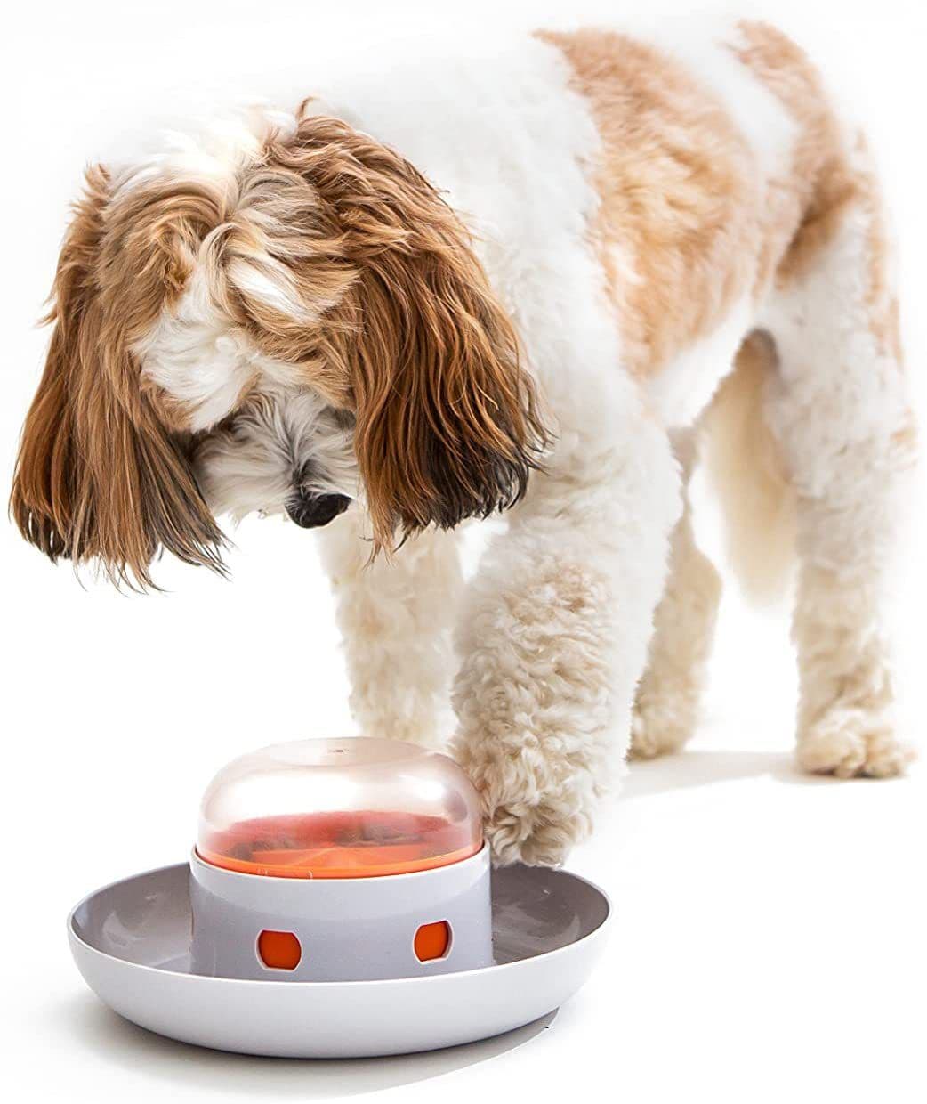 image-Dog Slow Feeder - Automatic Pet Food Dispenser