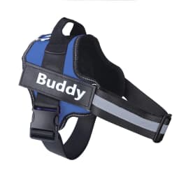 image-OUQIPETE Dog Chest Harness Leash - Purple XXL