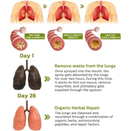 image-BreathDetox Herbal Lung Cleansing Spray 30ml