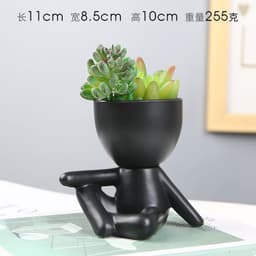 image-Sanwuxuan Nordic Ceramic Succulent Pot