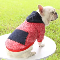 image-Pet Hoodie Sweater - Gray Denim Pocket for Dogs & Cats