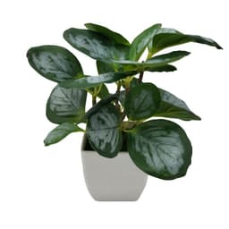 image-Simulation Watermelon Leaf Potted Plant - Monstera