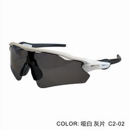 image-PARD HORSE L9208 Cycling Sunglasses - TR90 UV Protection