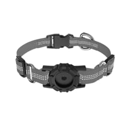 image-Dog Collar for Apple AirTag - Pet