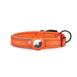 image-Wanda Pet Collar Tracker XL - Grass Green Nylon