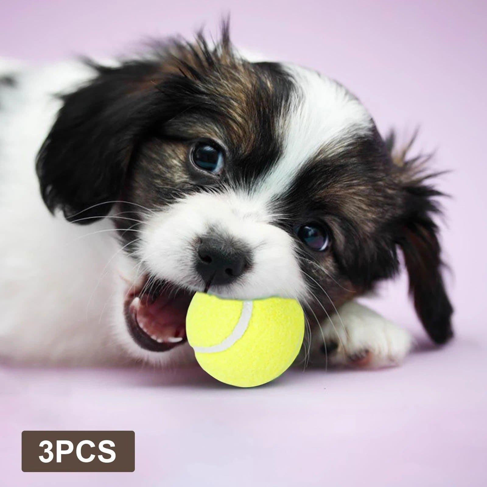 image-Pet Tennis Ball Launcher - 5cm Small Ball