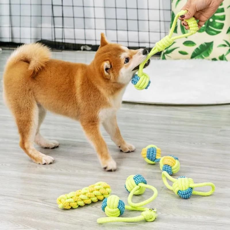 image-Cotton Rope Dog Toy Set - Teeth Cleaning Knot Toys
