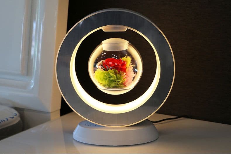 image-Rose Lovers Magnetic Levitation Flower - Blue