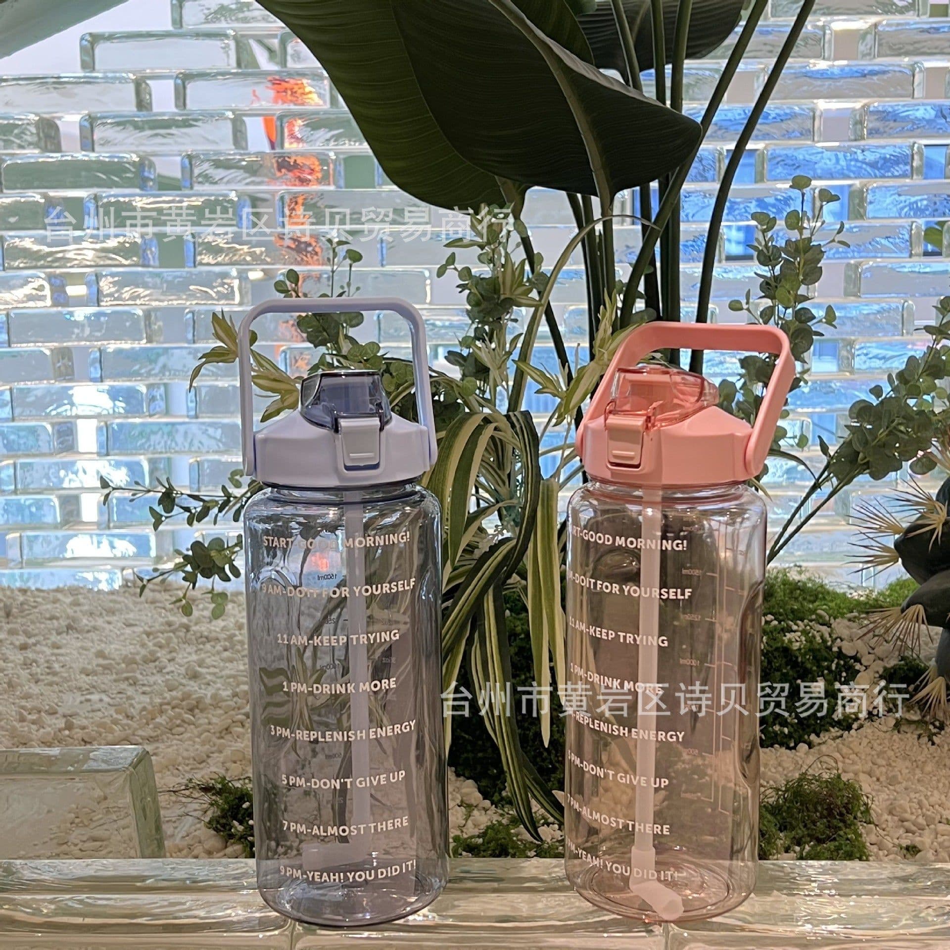 image-Factory direct sales 2L large-capacity transparent high-value ton-ton cup outdoor straw cup Christmas gift net red plastic cup