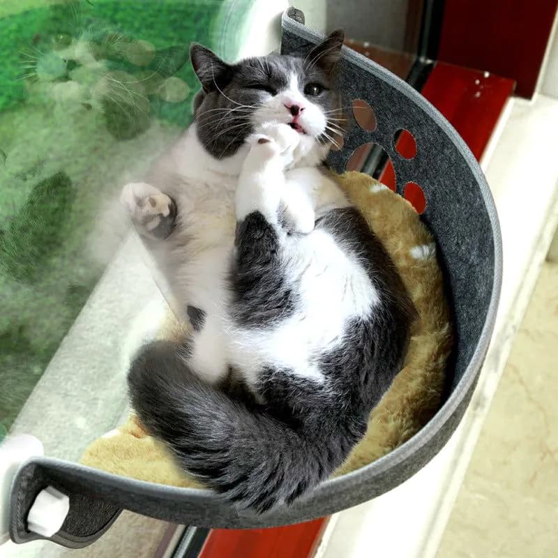 image-Cat Bed Hammock Window Suction Cup Pink