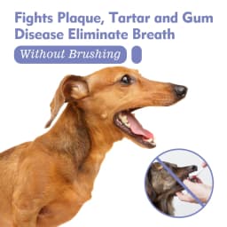 image-Yegbong Pet Oral Spray 60ml Breath Fresh