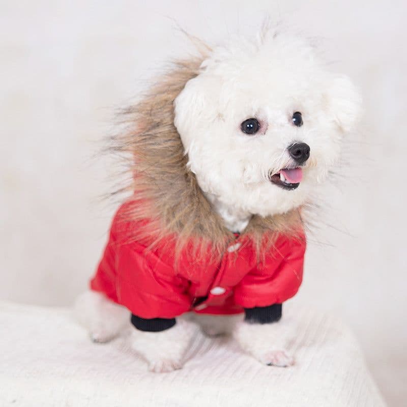 image-Pet Hooded Jacket - Dog Clothes Autumn Winter Warm