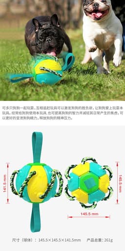 image-Dog Frisbee Toy - Interactive Outdoor Training