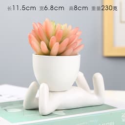 image-Sanwuxuan Nordic Ceramic Succulent Pot
