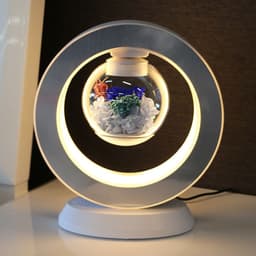 image-Rose Lovers Magnetic Levitation Flower - Blue