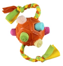 image-Sniffing Ball Dog Toy - Rainbow TPR Rubber Fleece