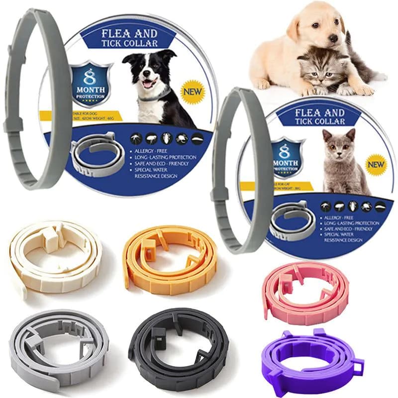 image-Chico Pet Flea Collar - Adjustable Dog Cat Insect Repellent