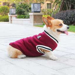 image-Dog Corgi Knitted Sweater Autumn Winter