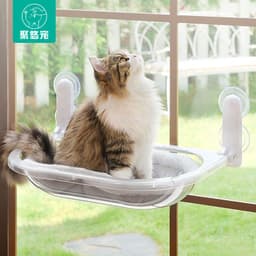 image-Cat Hammock Space Capsule Pet Bed - Glass Hanging Transparent