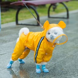 image-Dog Rain Boots Set of 4 - Waterproof Silicone Pet Shoes