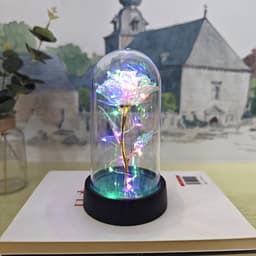 image-Gold Foil Rose in Glass Dome - Preserved Flower Decor