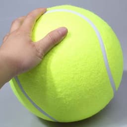 image-LSJ Inflatable Tennis Ball Dog Toy 24cm