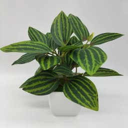 image-Simulation Watermelon Leaf Potted Plant - Monstera