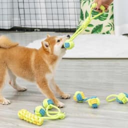 image-Cotton Rope Dog Toy Set - Teeth Cleaning Knot Toys