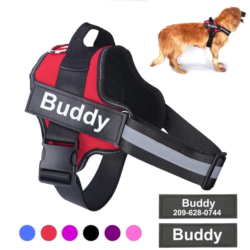 image-OUQIPETE Dog Chest Harness Leash - Purple XXL