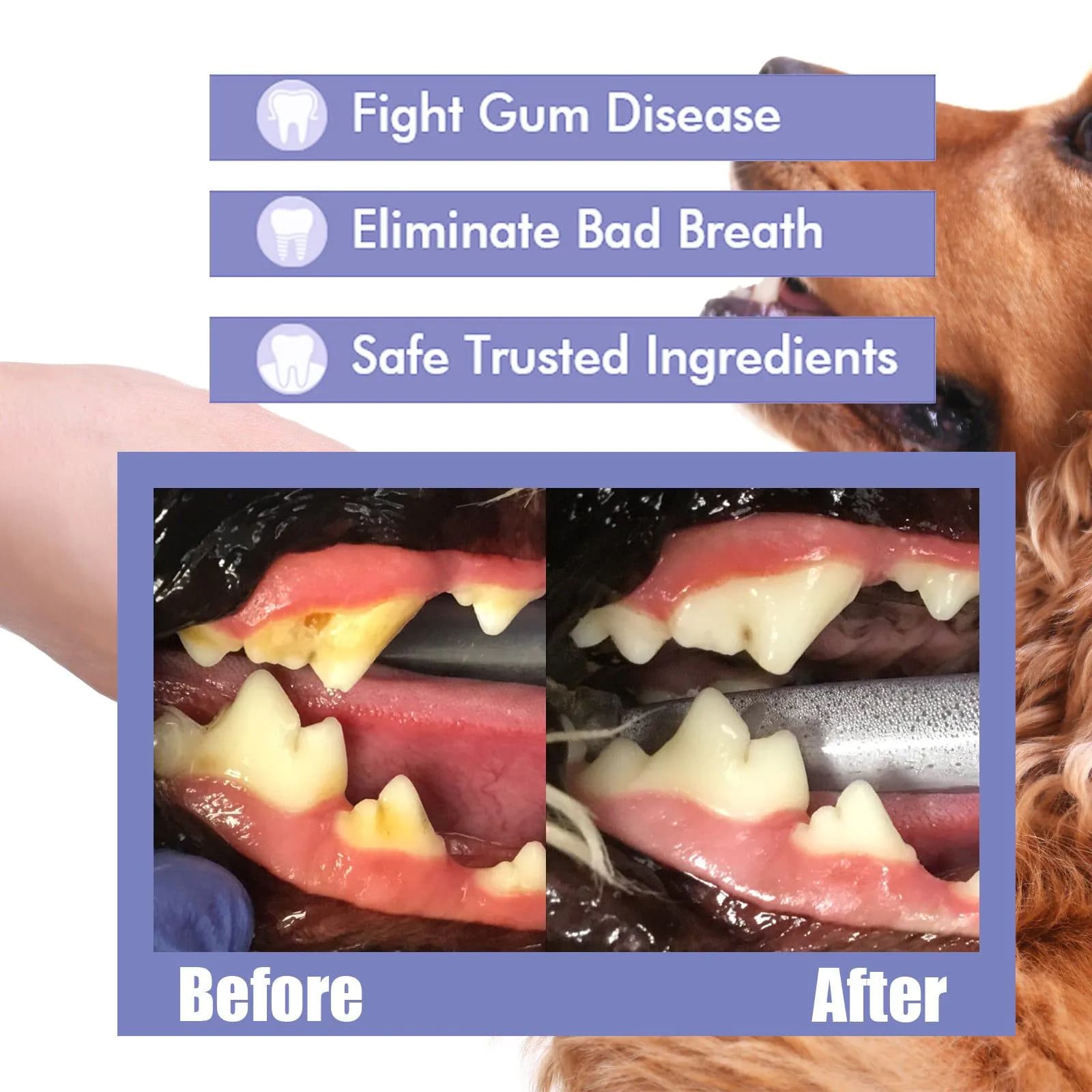 image-Yegbong Pet Oral Spray 60ml Breath Fresh