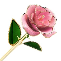 image-Cross-border export 24K gold-plated rose paint flower with gift box Valentine's Day gift factory wholesale