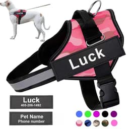image-Pet Harness Leash - Camouflage Blue XXL