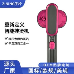 image-Zi Ning Mini Steamer - Rose Red 1000W Handheld Ironing Machine