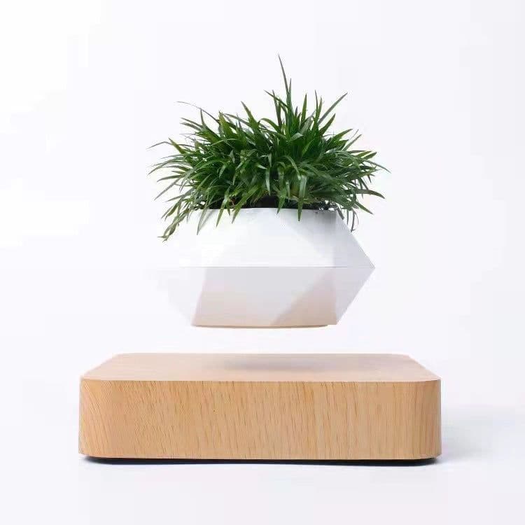 image-Magnetic Levitation Potted Plant