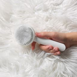 image-Pet grooming artifact self-cleaning comb cat comb needle comb to remove floating hair cat and dog groomer special comb brush massage brush