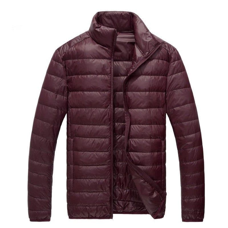 image-Men's Down Jacket - Light Grey Stand Collar Hooded