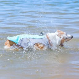 image-Dog Cooling Vest - Breathable Polyester Heat Relief