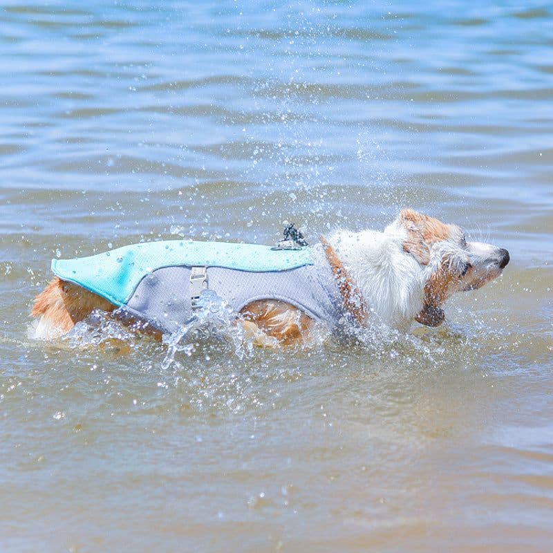 image-Dog Cooling Vest - Breathable Polyester Heat Relief