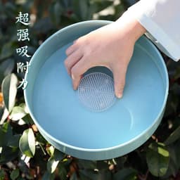 image-Plastic Transparent Kenzan Flower Arrangement Base