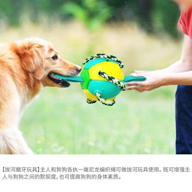 image-Dog Frisbee Toy - Interactive Outdoor Training