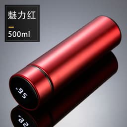 image-Smart Temperature Display Insulated Cup 304 Stainless Steel Water Bottle Gift