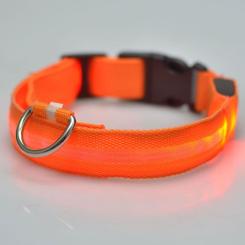 image-Si Sheng LED Dog Collar - Light Up XL