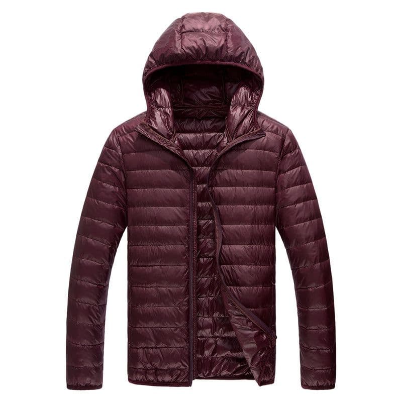 image-Men's Down Jacket - Light Grey Stand Collar Hooded