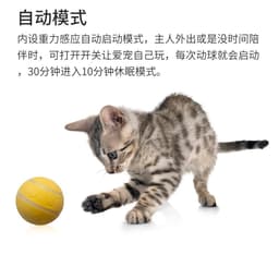 image-DICWAY Automatic Electric Dog Toy - Orange Silica Gel Smart Ball